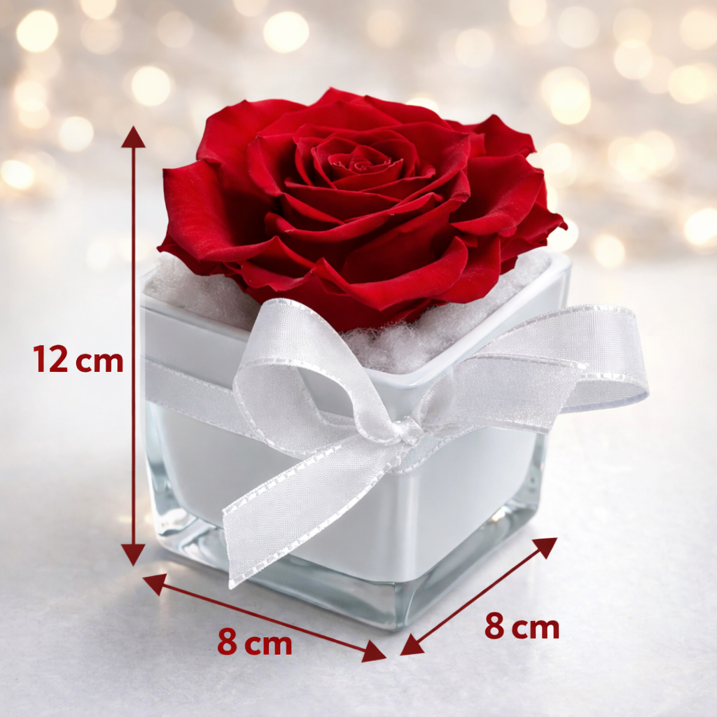 Éternelle Rouge – Flower Box Artigianale con Rosa Rossa Stabilizzata | H 12 cm