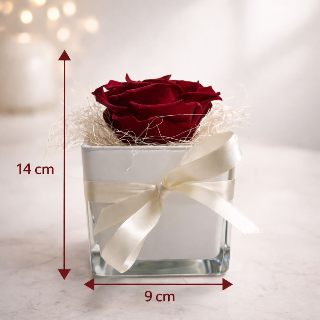 Rouge de Silence – Rosa Rossa Stabilizzata in Bicchiere in Vetro Bianco H14