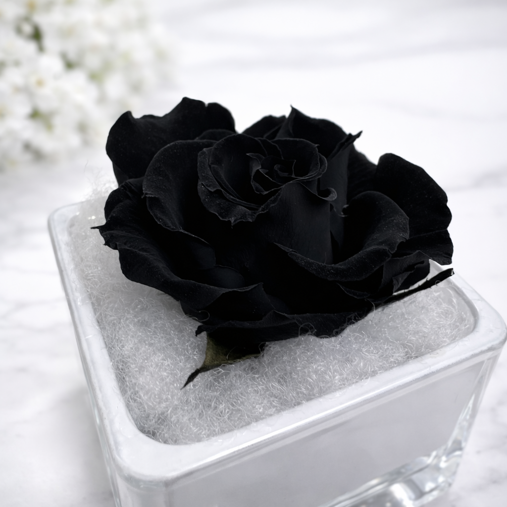 Noir Éternel – Mini Flower Box con Rosa Nera Stabilizzata in Bicchiere di Vetro