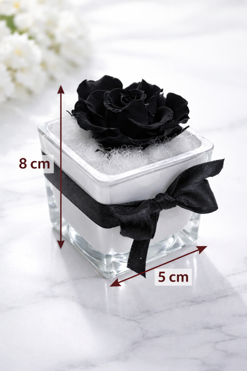 Noir Éternel – Mini Flower Box con Rosa Nera Stabilizzata in Bicchiere di Vetro